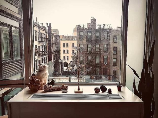 Apartment 0