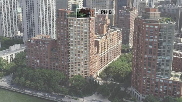Apartment 17