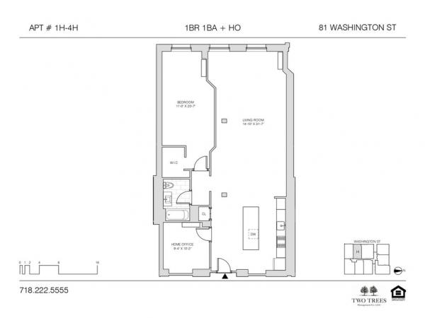 Dumbo-4H-90349_56218590.JPG
