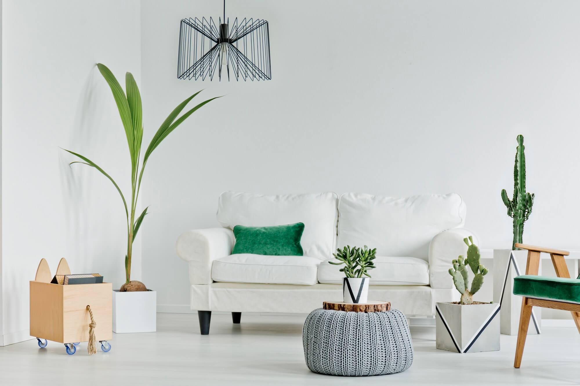 living room with decorative houseplants