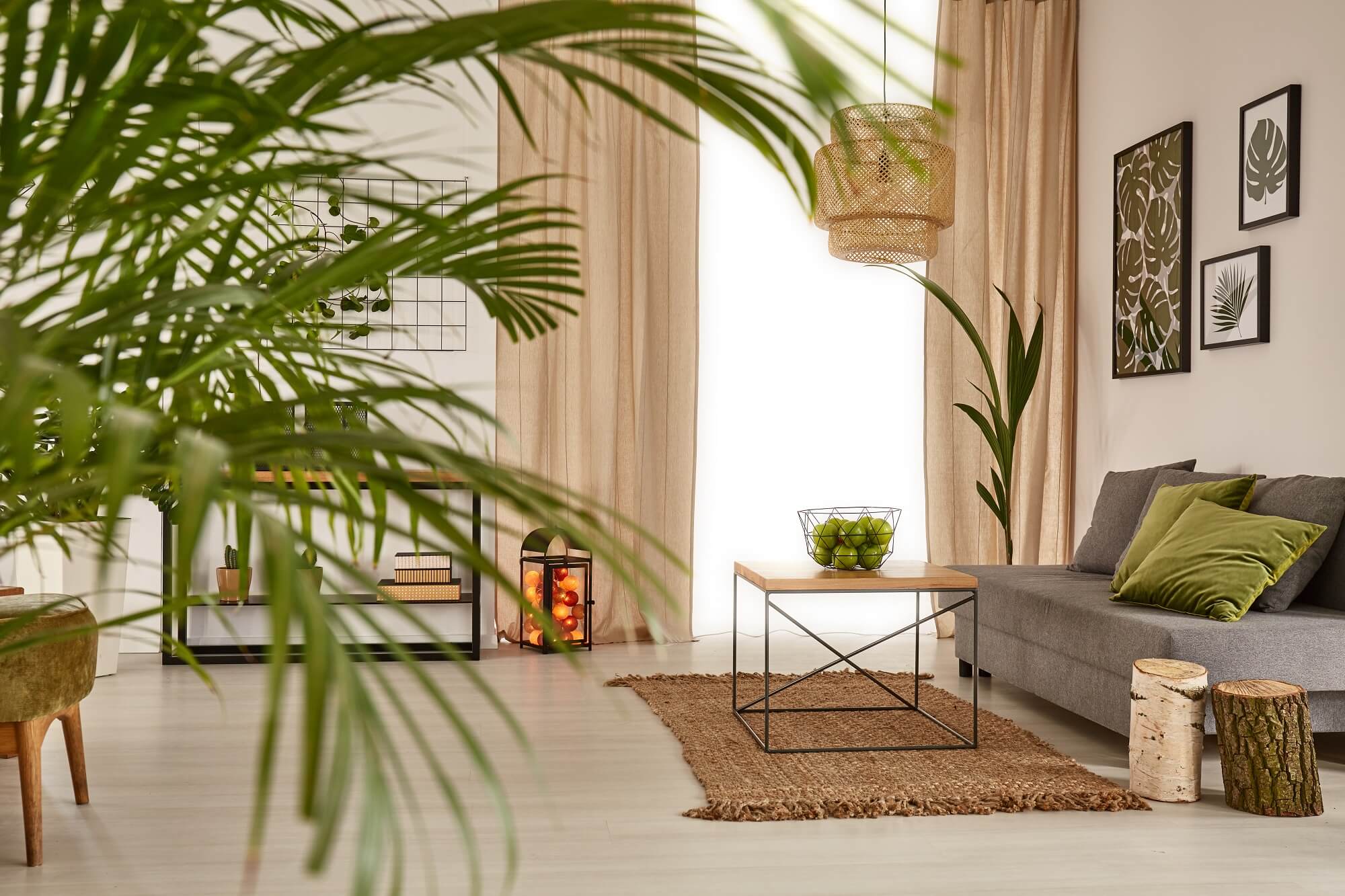 living room with decorative palm