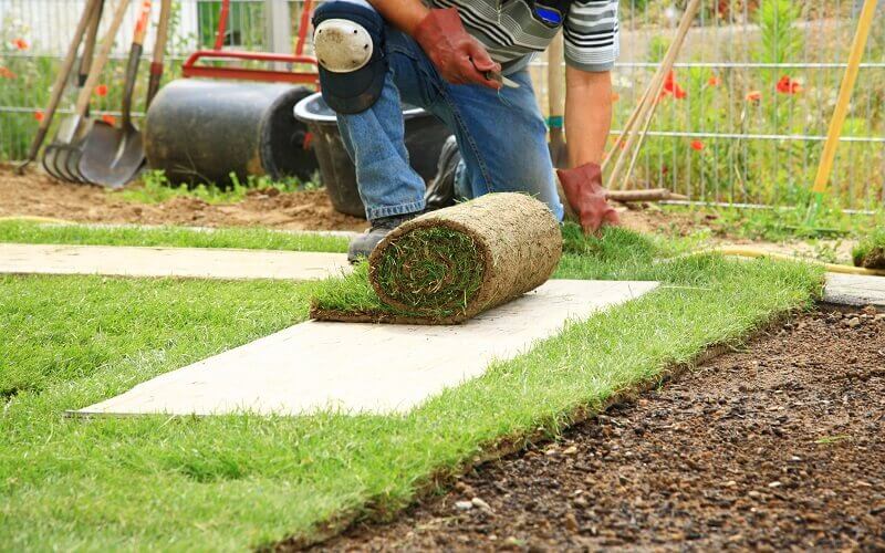 Maintaining Your New Yard